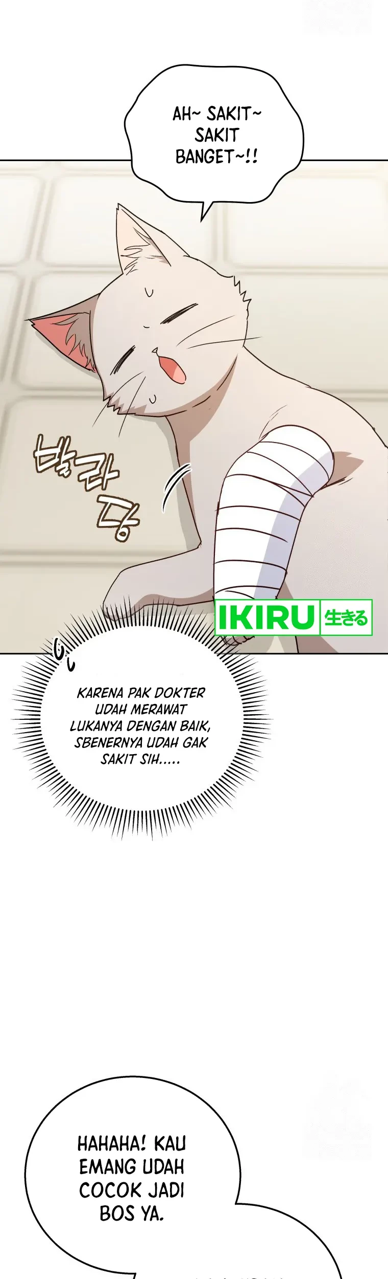 Hello? Veterinarian! Chapter 81 Gambar 35