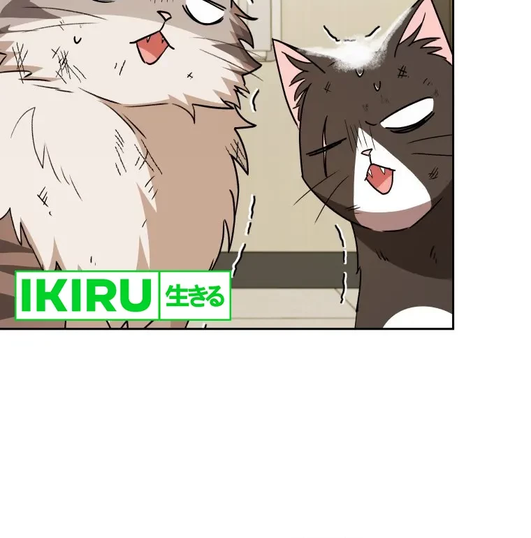 Hello? Veterinarian! Chapter 82 Gambar 31