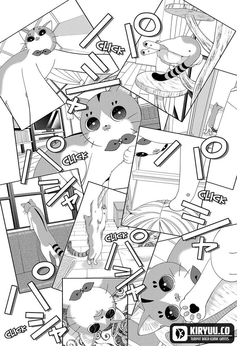 Miyaou Tarou ga Neko wo Kau Nante Chapter 19 Gambar 9