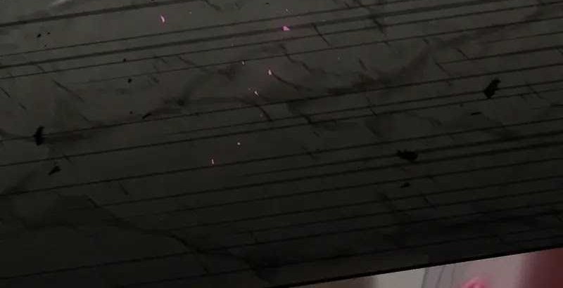 The Regressed Genius Player’s Legendary Weapon Creation Chapter 19 Gambar 55