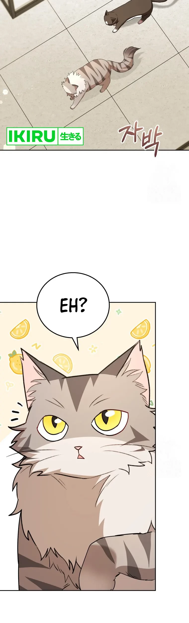 Hello? Veterinarian! Chapter 85 Gambar 14