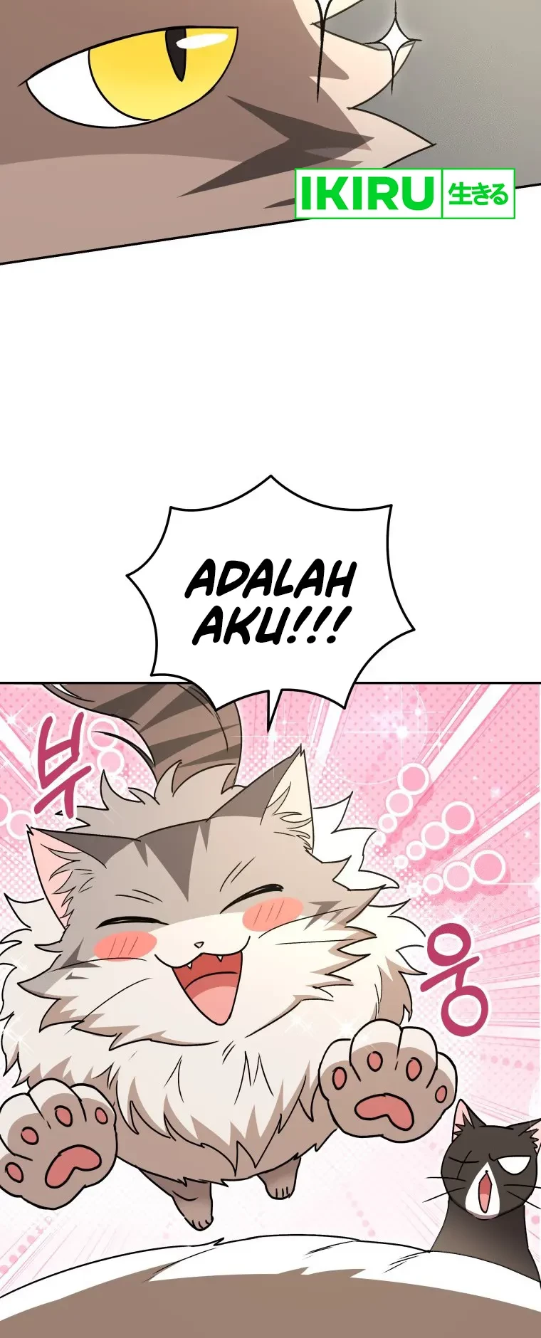 Hello? Veterinarian! Chapter 85 Gambar 16