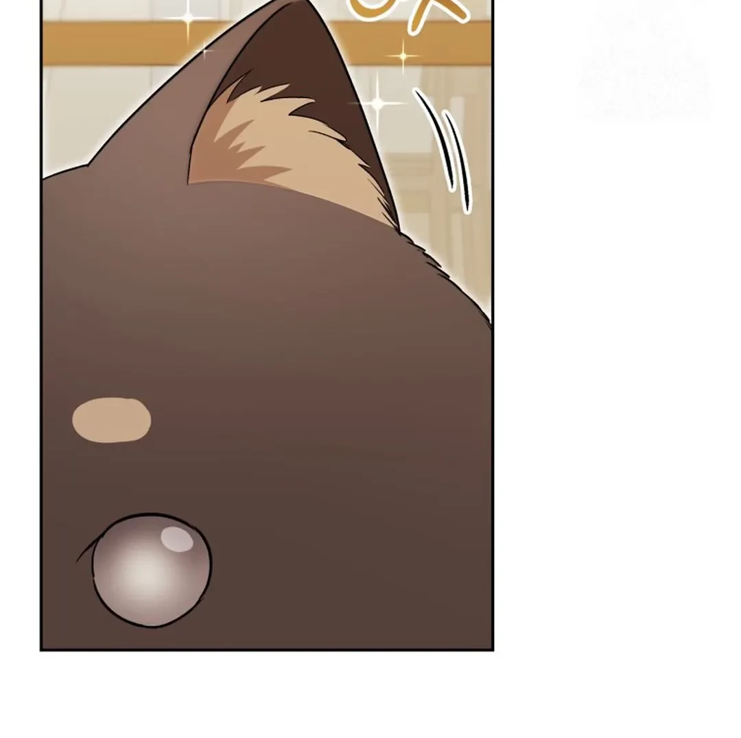 Hello? Veterinarian! Chapter 87 Gambar 11