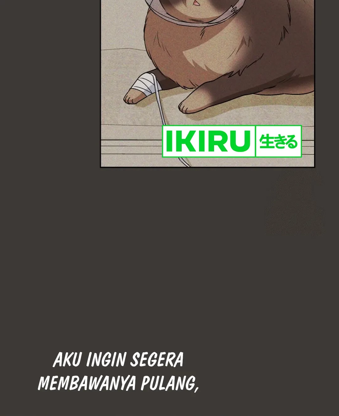 Hello? Veterinarian! Chapter 87 Gambar 31