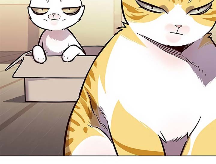 Eleceed Chapter 174 Gambar 37