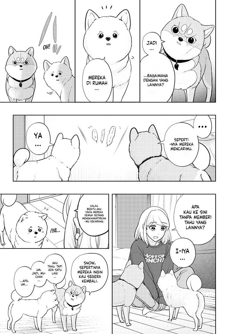 Shiba-Tsuki Bukken Chapter 17 Gambar 24