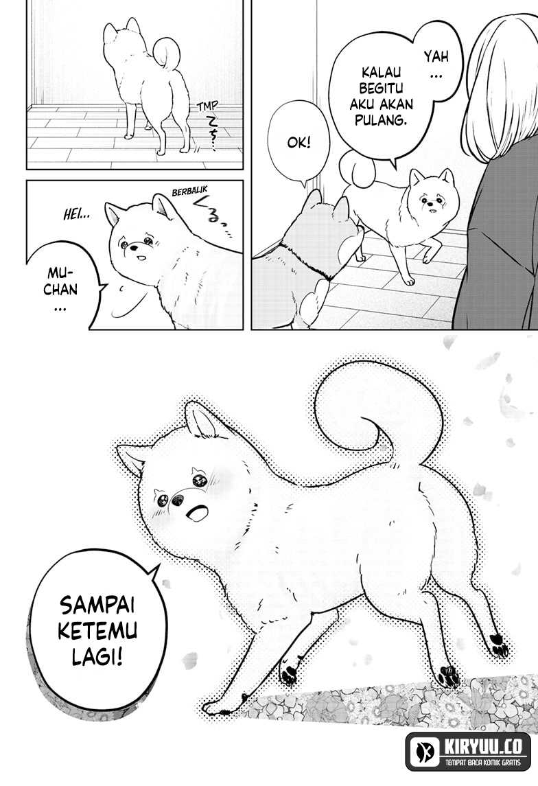 Shiba-Tsuki Bukken Chapter 17 Gambar 27