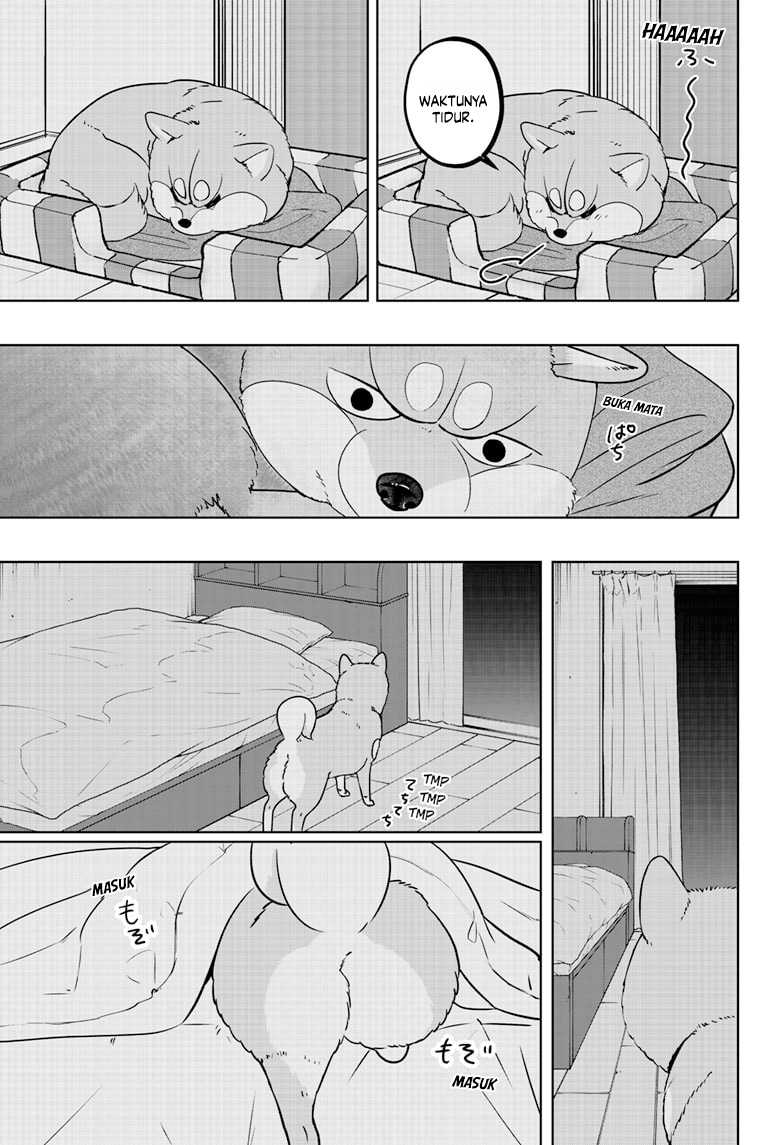 Shiba-Tsuki Bukken Chapter 19 Gambar 11