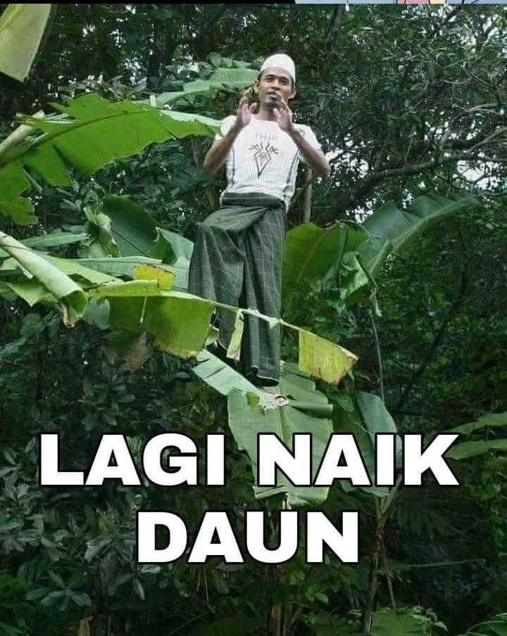 Global Gao Wu Chapter 275 Gambar 40