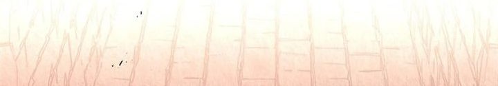 A Guide to the Right Life for Rankers Chapter 16 Gambar 19