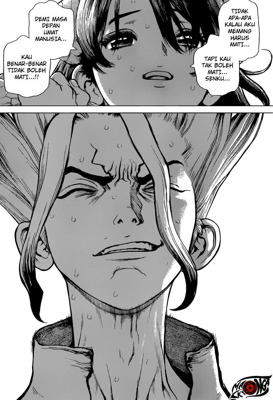 Dr. Stone Chapter 09 Gambar 13