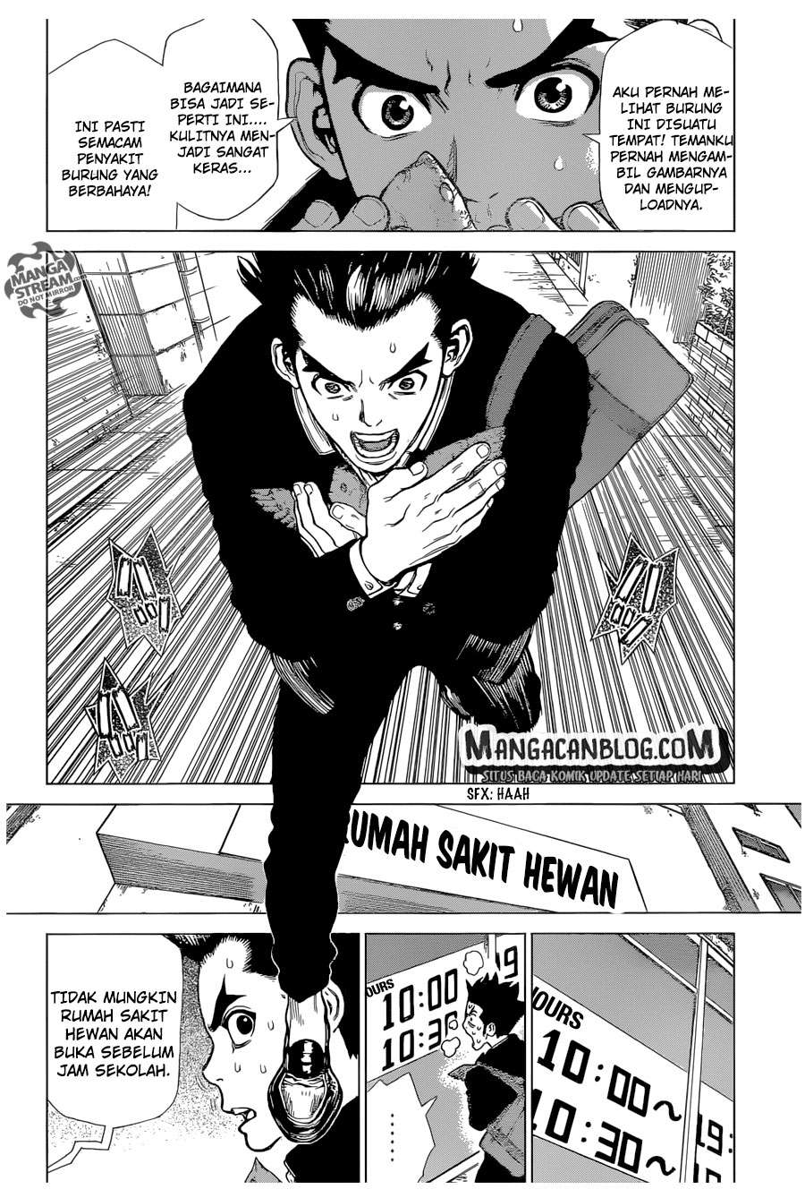 Dr. Stone Chapter 01 Gambar 19