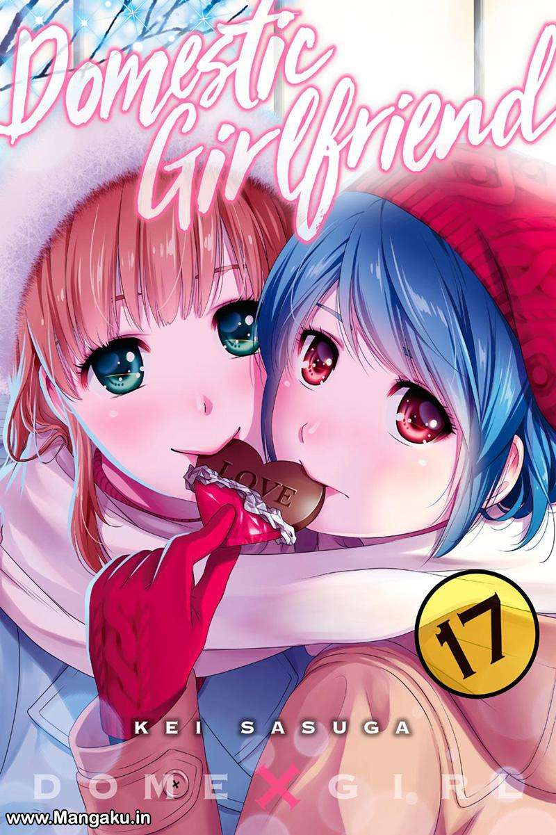 Baca Manga Domestic na Kanojo Chapter 155 Gambar 2