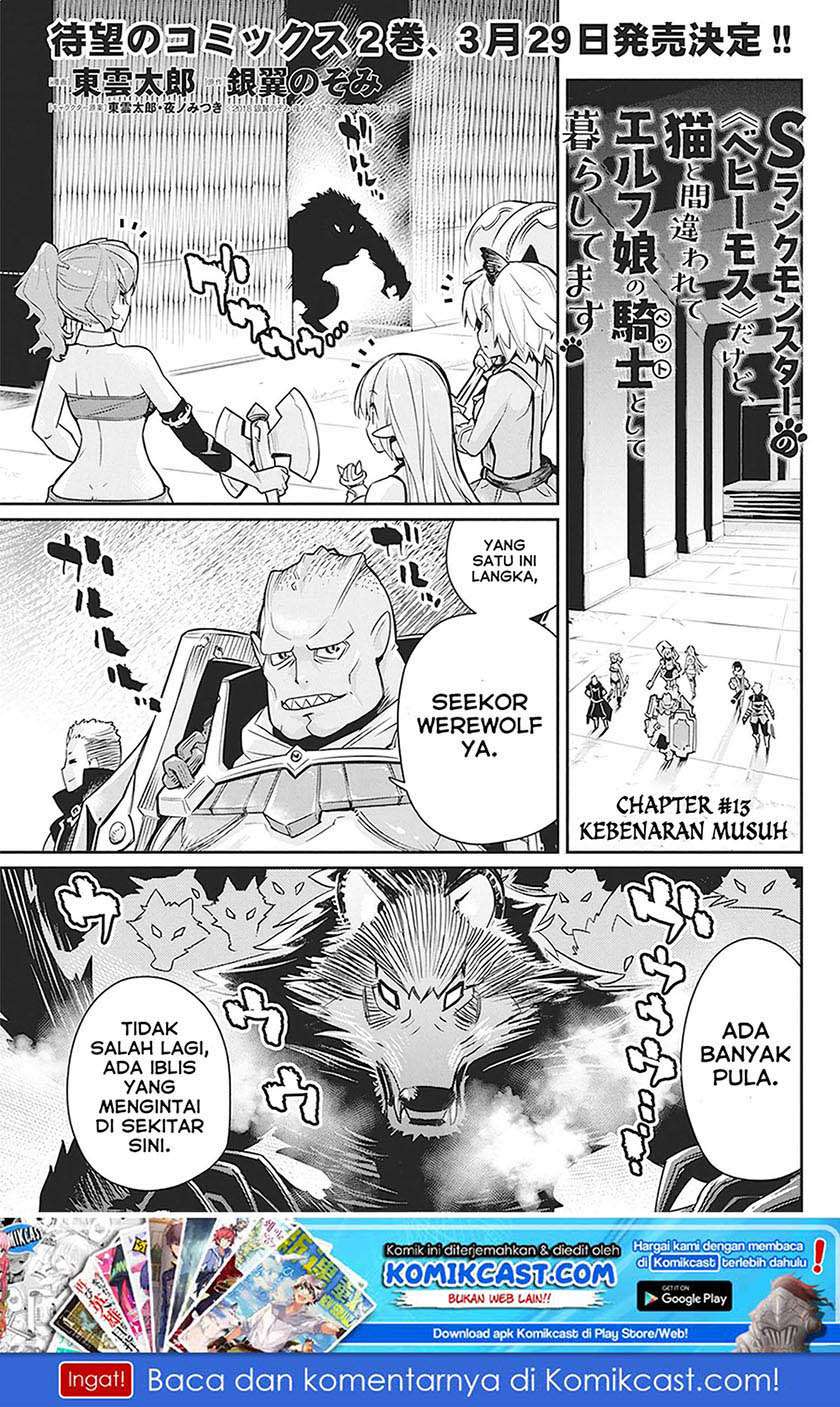 Baca Manga S-Rank Monster no Behemoth Dakedo, Neko to Machigawarete Erufu Musume no Kishi (Pet) Toshite Kurashitemasu Chapter 13 Gambar 2