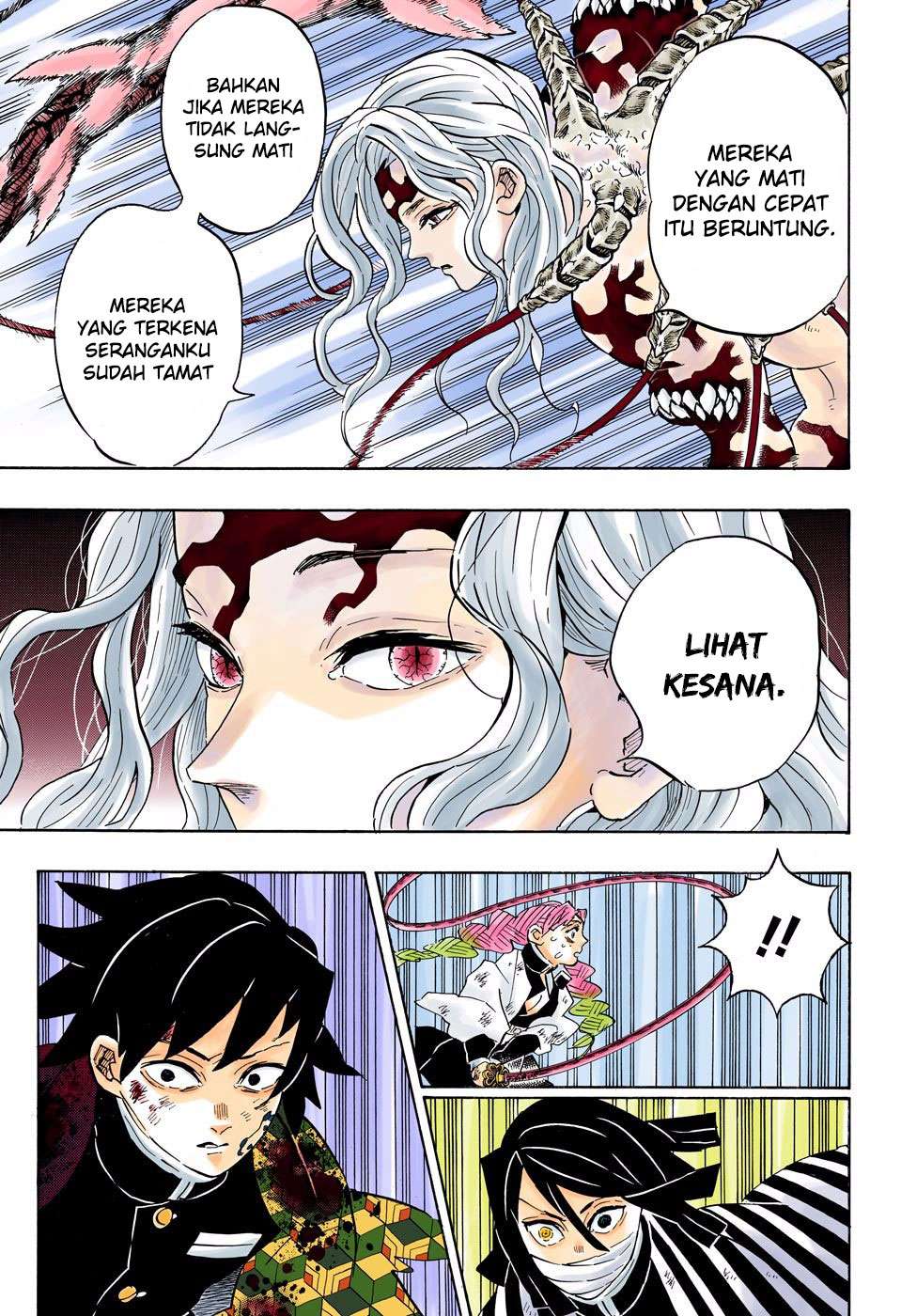 Kimetsu no Yaiba Chapter 184.5 Gambar 17