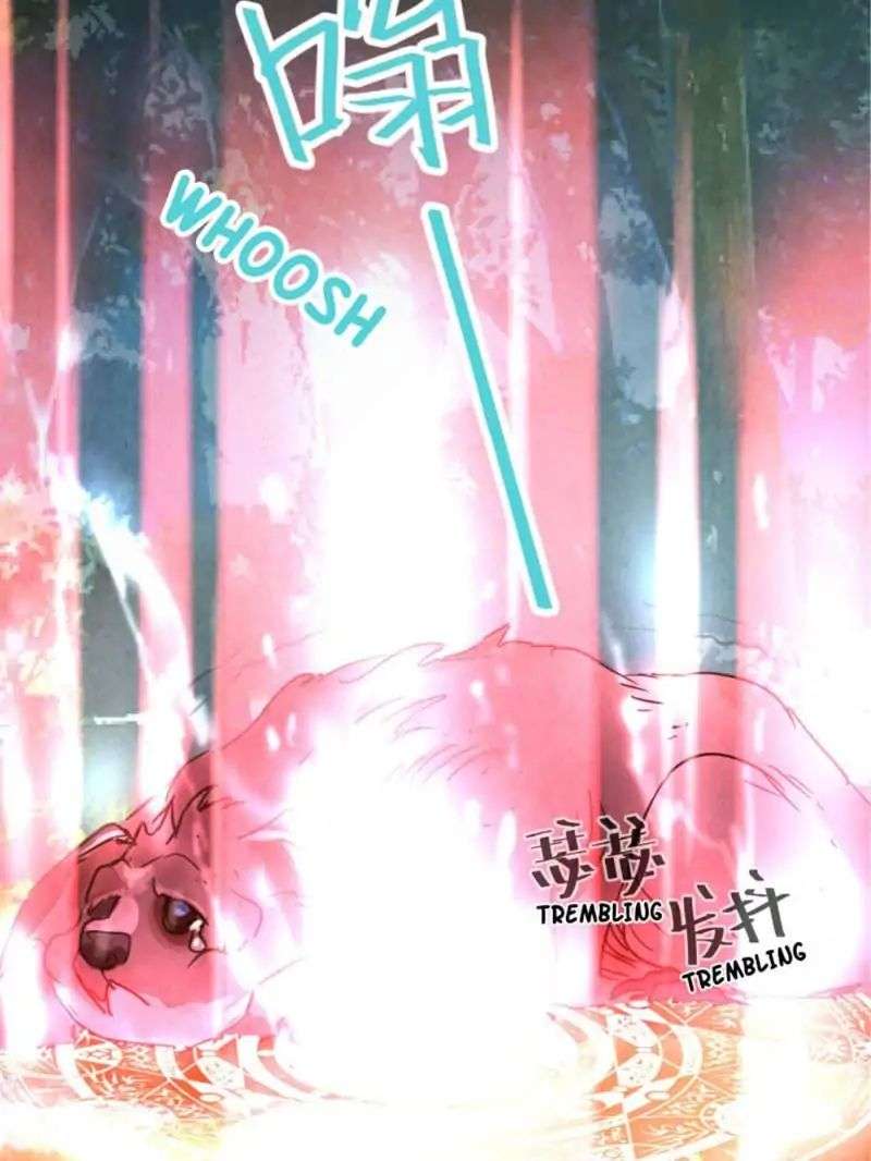 The Crazy Adventures of Mystical Doctor Chapter 69 Gambar 13