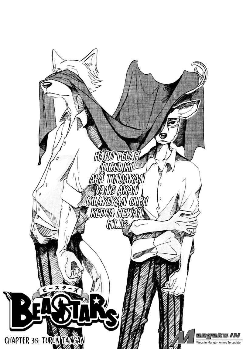 Baca Manga Beastars Chapter 36 Gambar 2