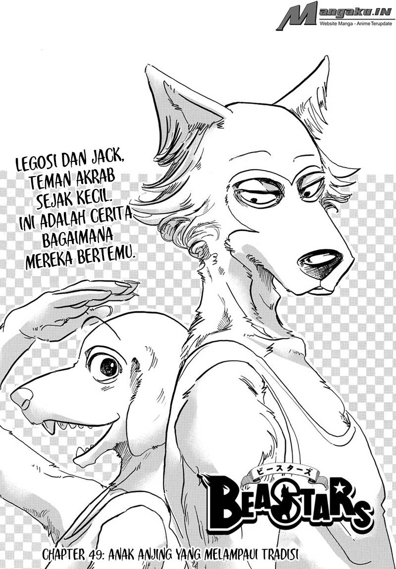 Baca Manga Beastars Chapter 49 Gambar 2