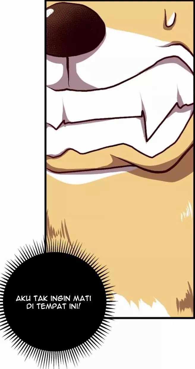 Rebirth Become a Dog Chapter 03 Gambar 14
