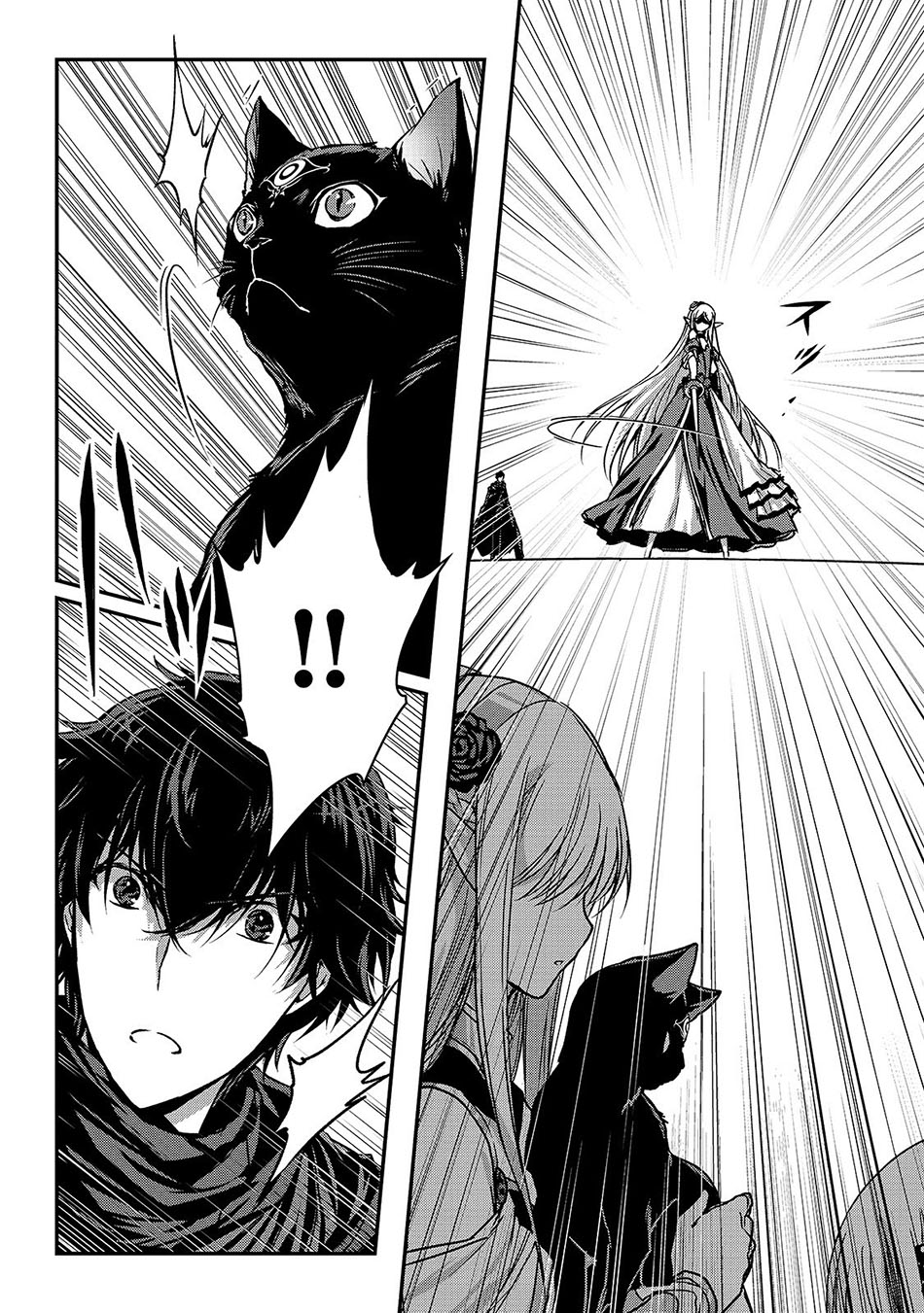 Assassin de aru ore no Sutetasu ga Yuusha yori mo Akiraka ni Tsuyoi Nodaga Chapter 16.2 Gambar 12