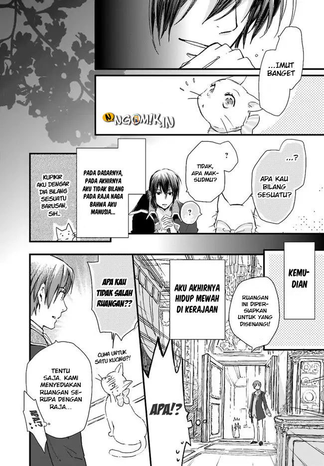 The Vengeful White Cat Lounging on the Dragon King’s Lap Chapter 08 Gambar 12