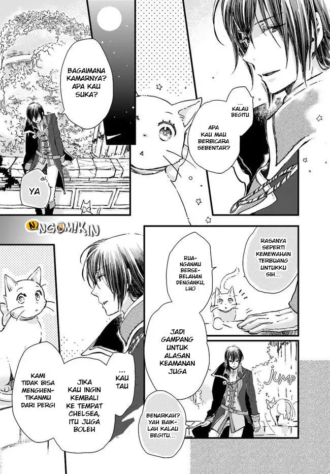 The Vengeful White Cat Lounging on the Dragon King’s Lap Chapter 08 Gambar 19