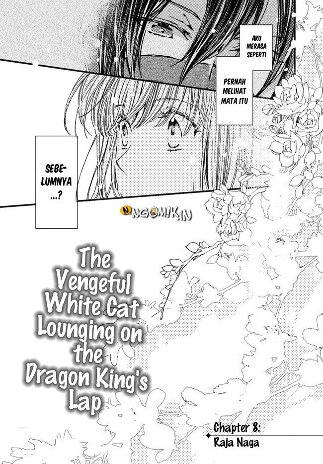 The Vengeful White Cat Lounging on the Dragon King’s Lap Chapter 08 Gambar 5