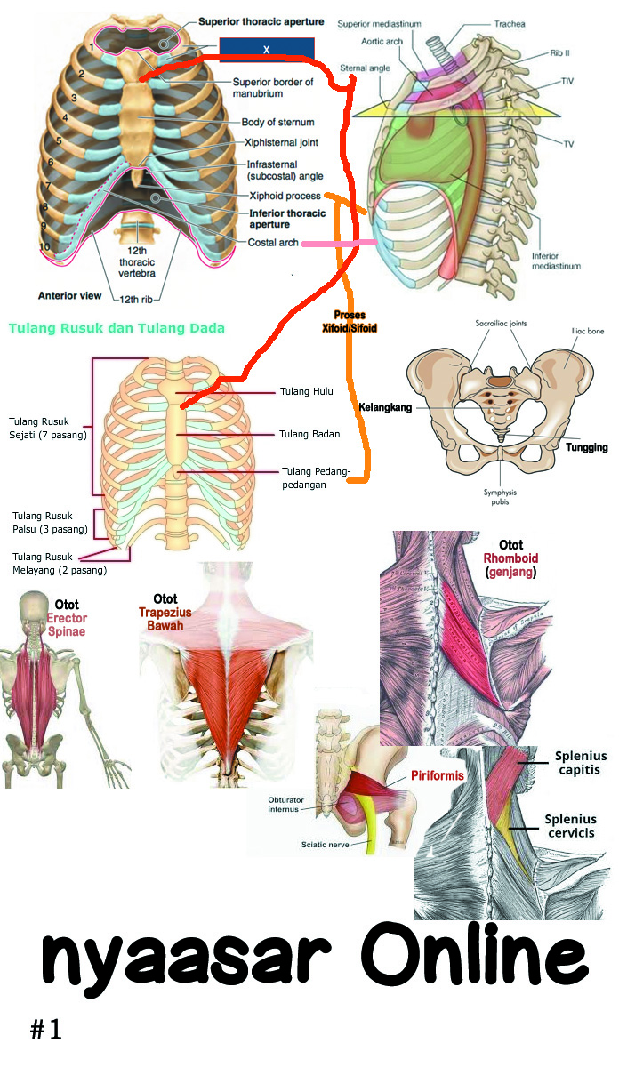 Stretch Chapter 16 Gambar 11