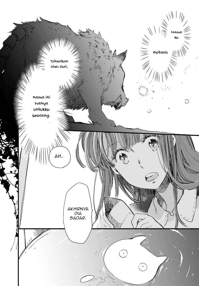 The Vengeful White Cat Lounging on the Dragon King’s Lap Chapter 15 Gambar 11