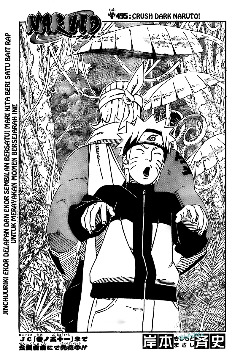 Naruto - Chapter 495 - Page 2