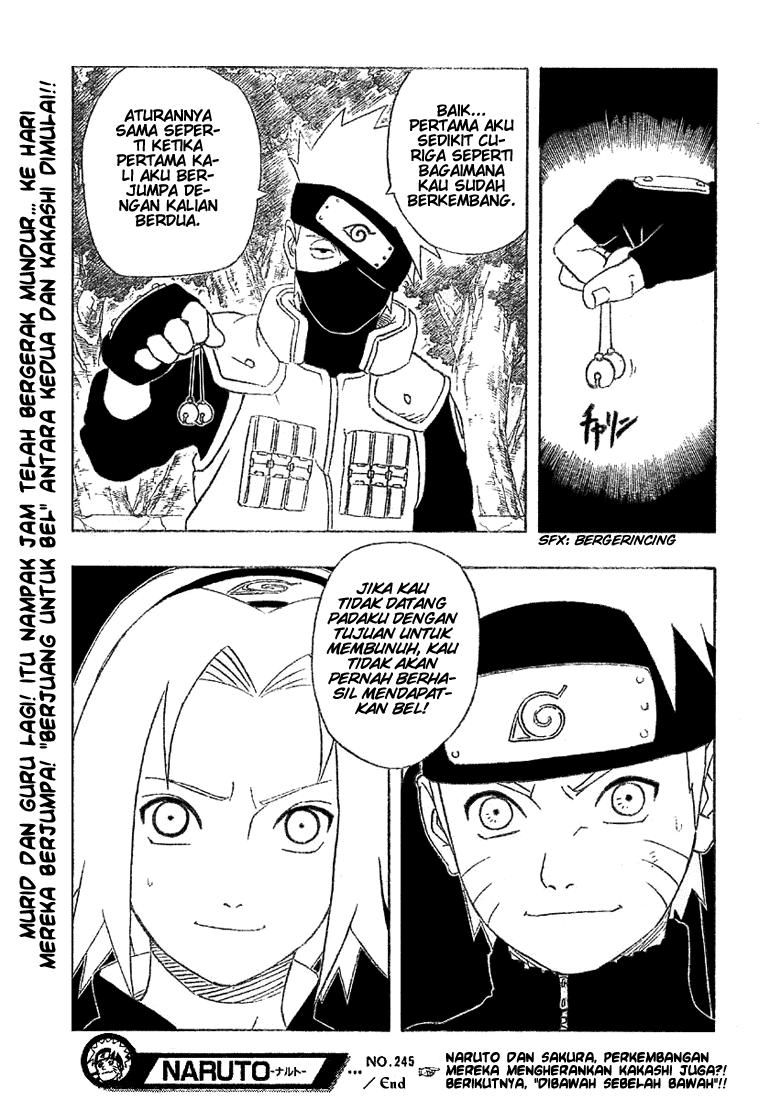 Naruto - Chapter 245 - Page 19