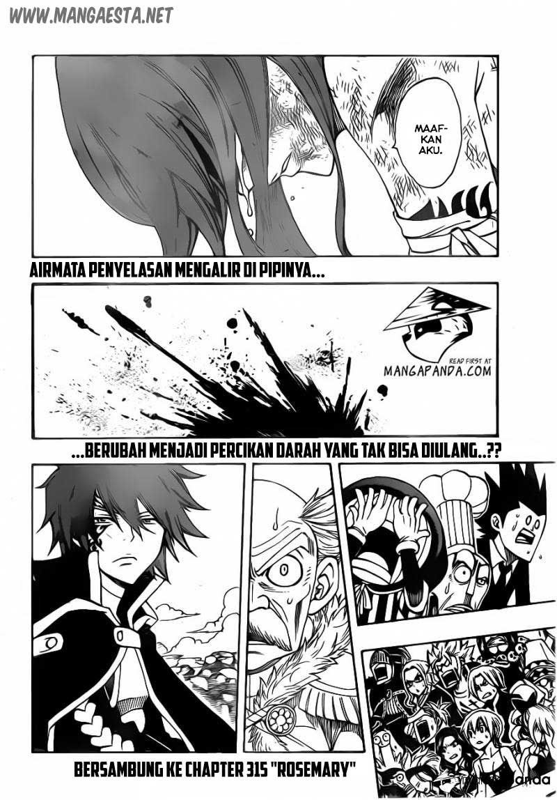 Fairy Tail Chapter 314 Gambar 21