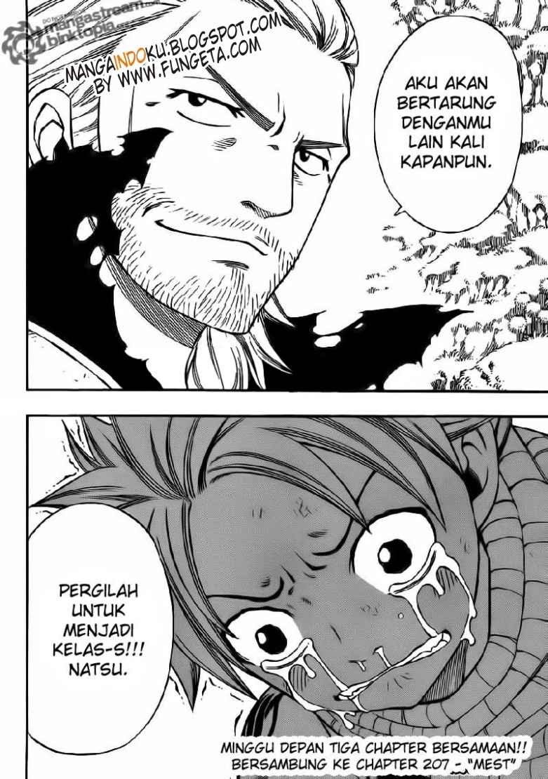 Fairy Tail Chapter 206 Gambar 20