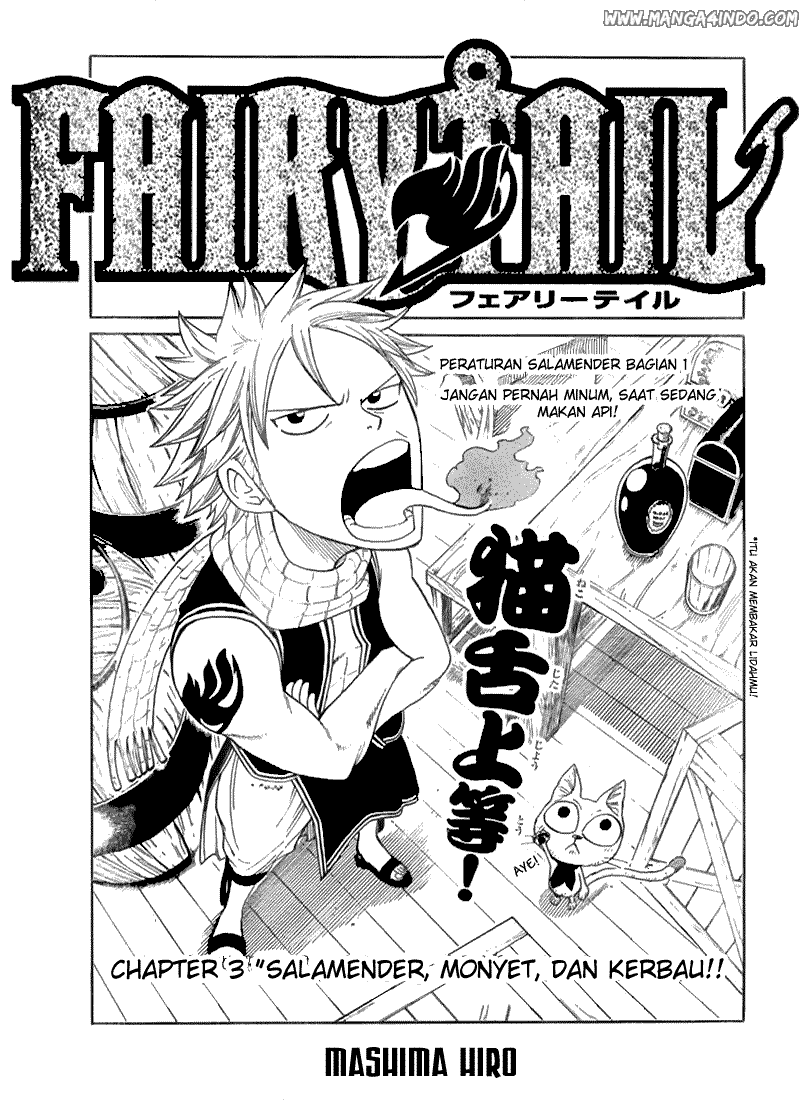 Fairy Tail Chapter 3 Gambar 4