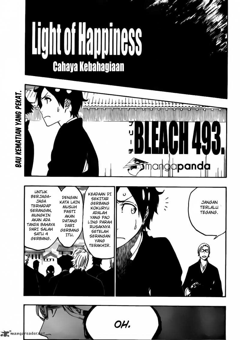 Bleach Chapter 493 Gambar 16
