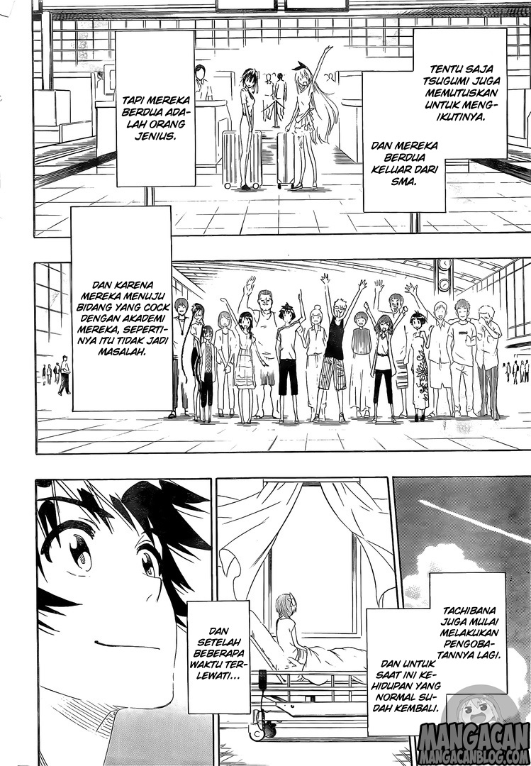 Nisekoi Chapter 228 Gambar 10
