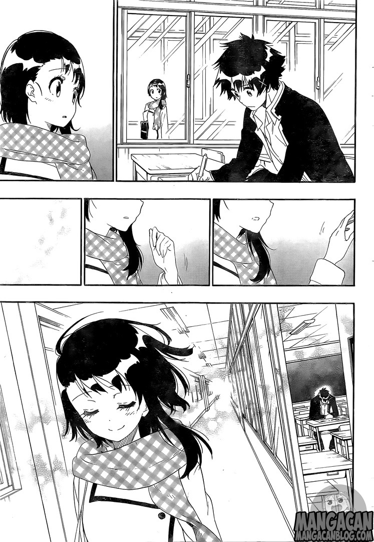 Nisekoi Chapter 228 Gambar 15