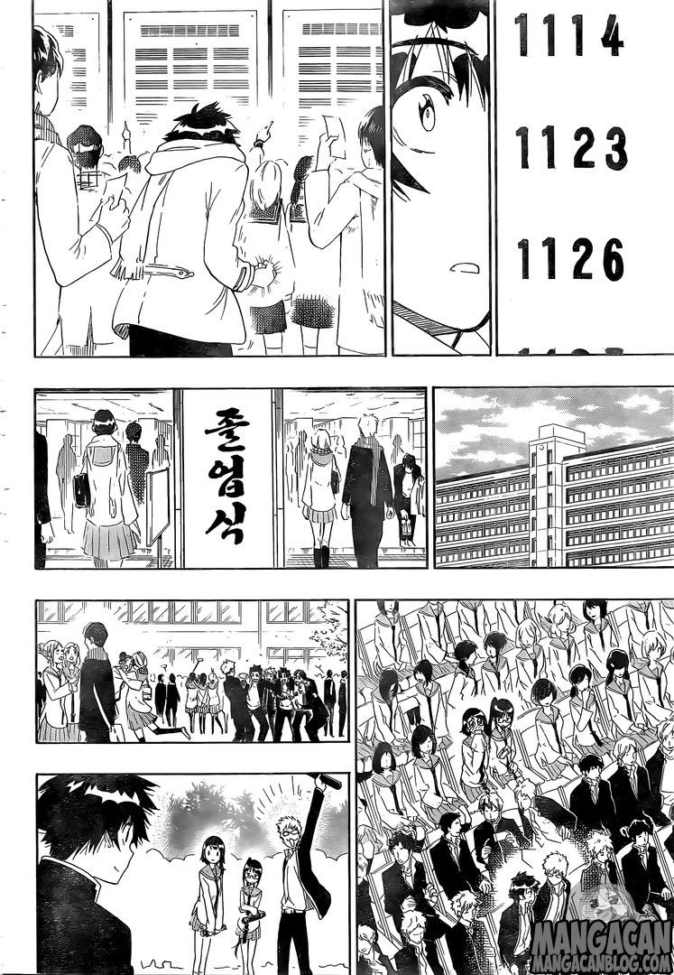 Nisekoi Chapter 228 Gambar 18
