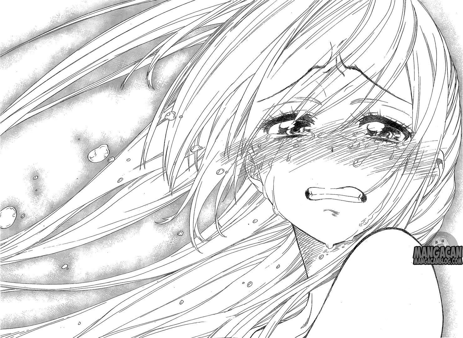 Nisekoi Chapter 227 Gambar 16