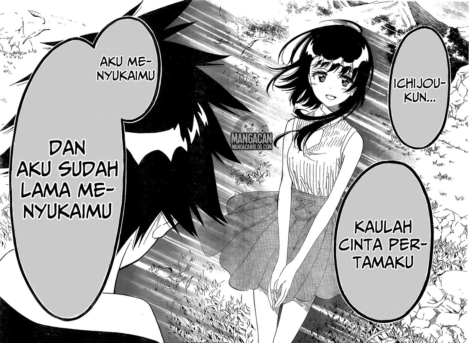 Nisekoi Chapter 225 Gambar 11