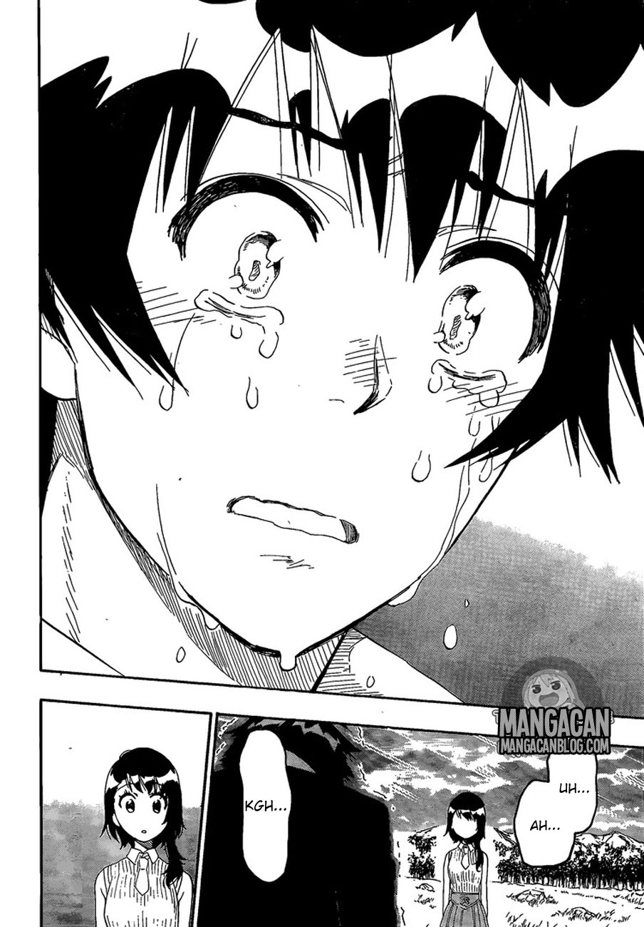 Nisekoi Chapter 225 Gambar 16