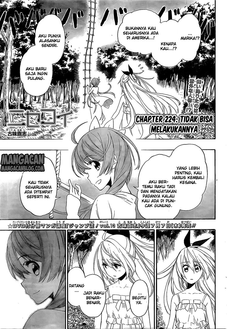 Baca Komik Nisekoi Chapter 224 Gambar 1