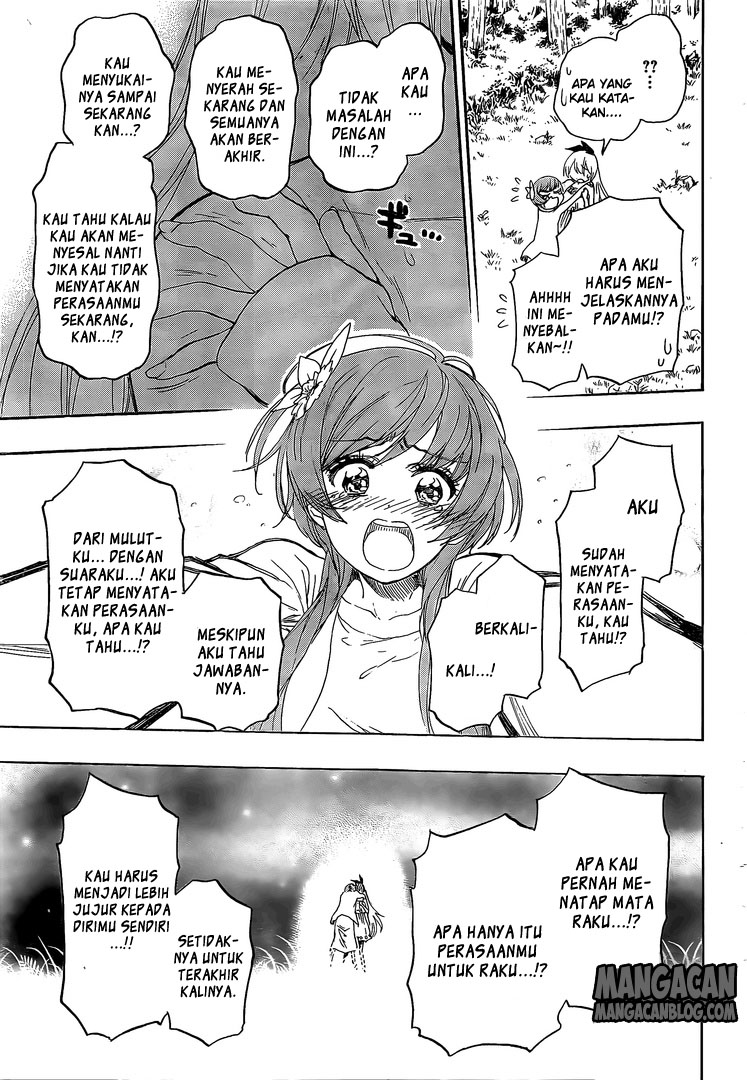 Nisekoi Chapter 224 Gambar 11