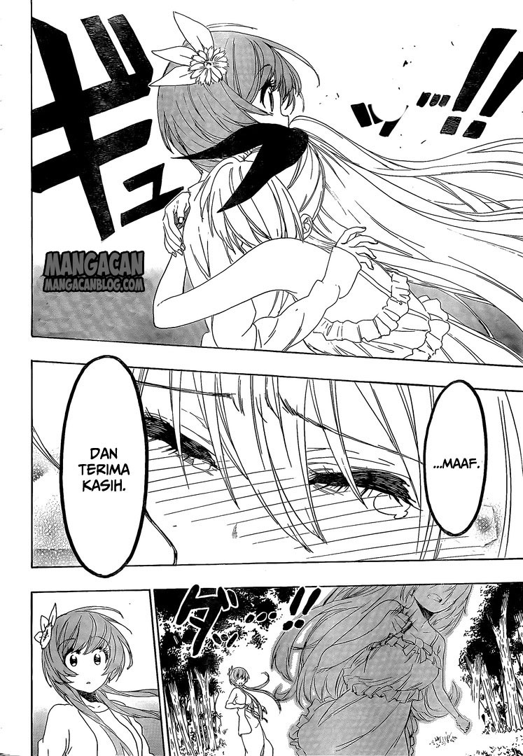 Nisekoi Chapter 224 Gambar 14