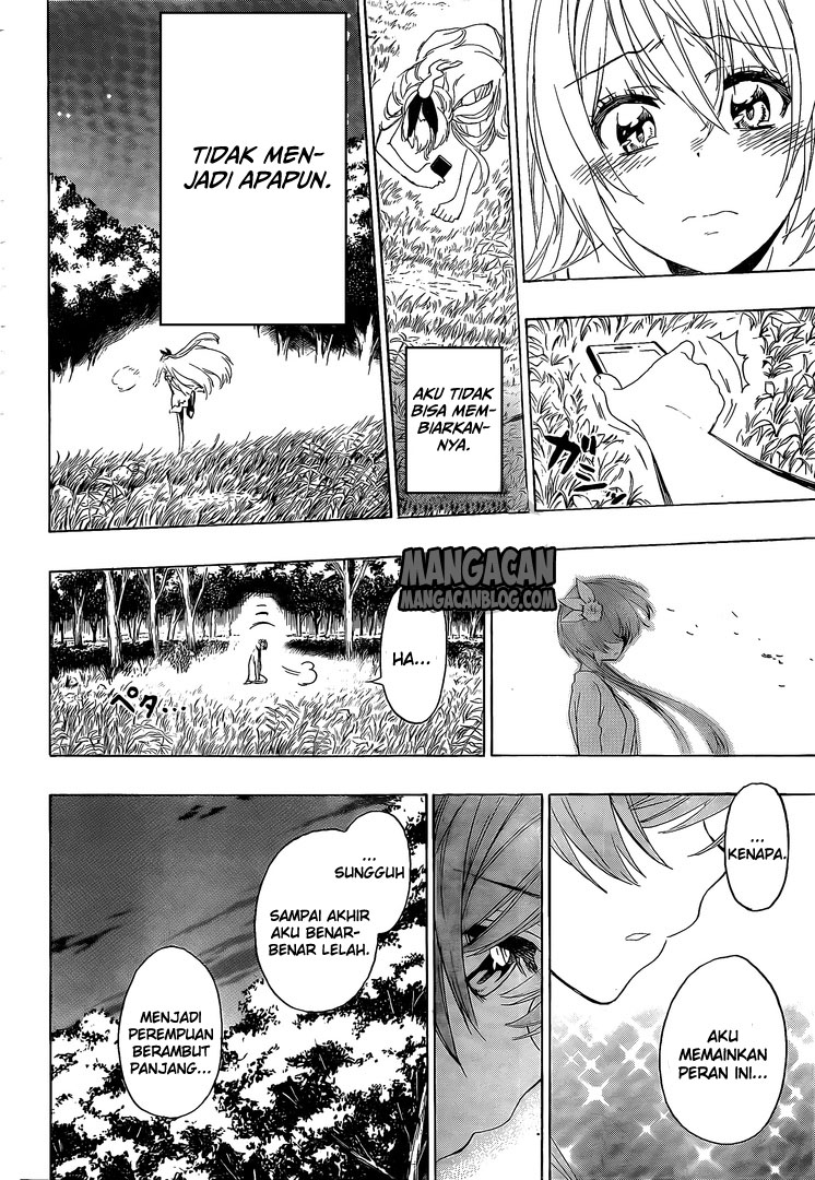 Nisekoi Chapter 224 Gambar 16