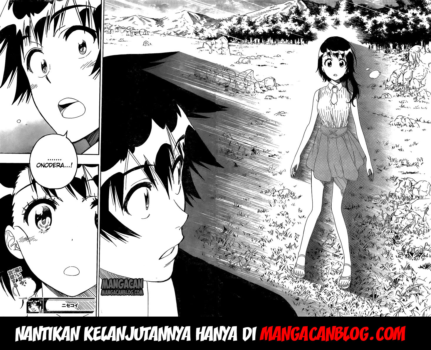 Nisekoi Chapter 224 Gambar 18