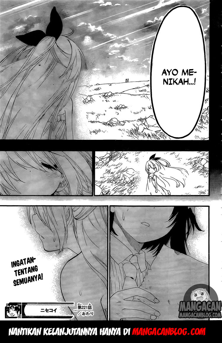 Nisekoi Chapter 221 Gambar 19