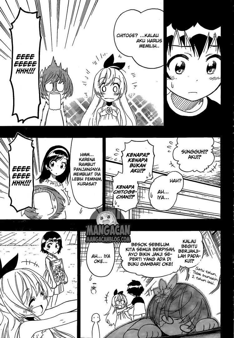 Nisekoi Chapter 221 Gambar 7