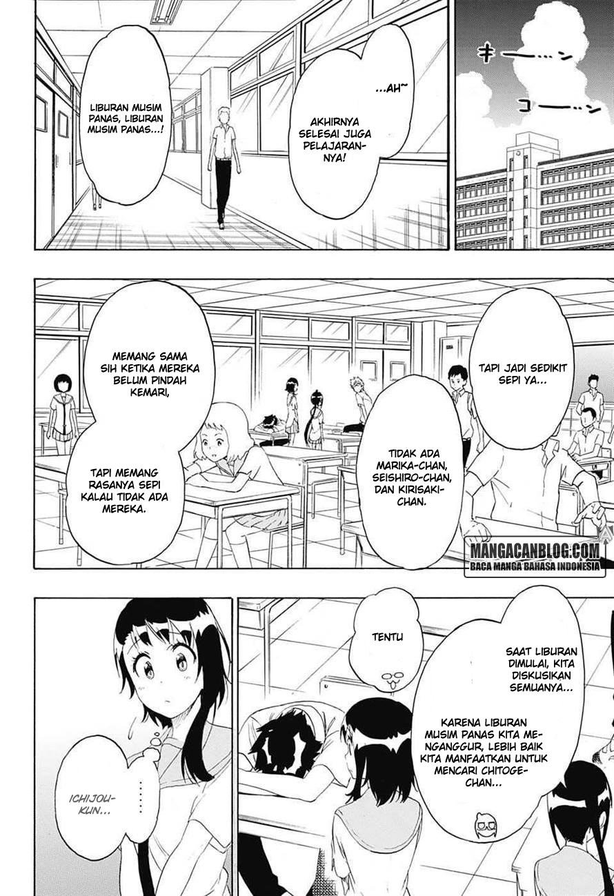 Nisekoi Chapter 213 Gambar 19