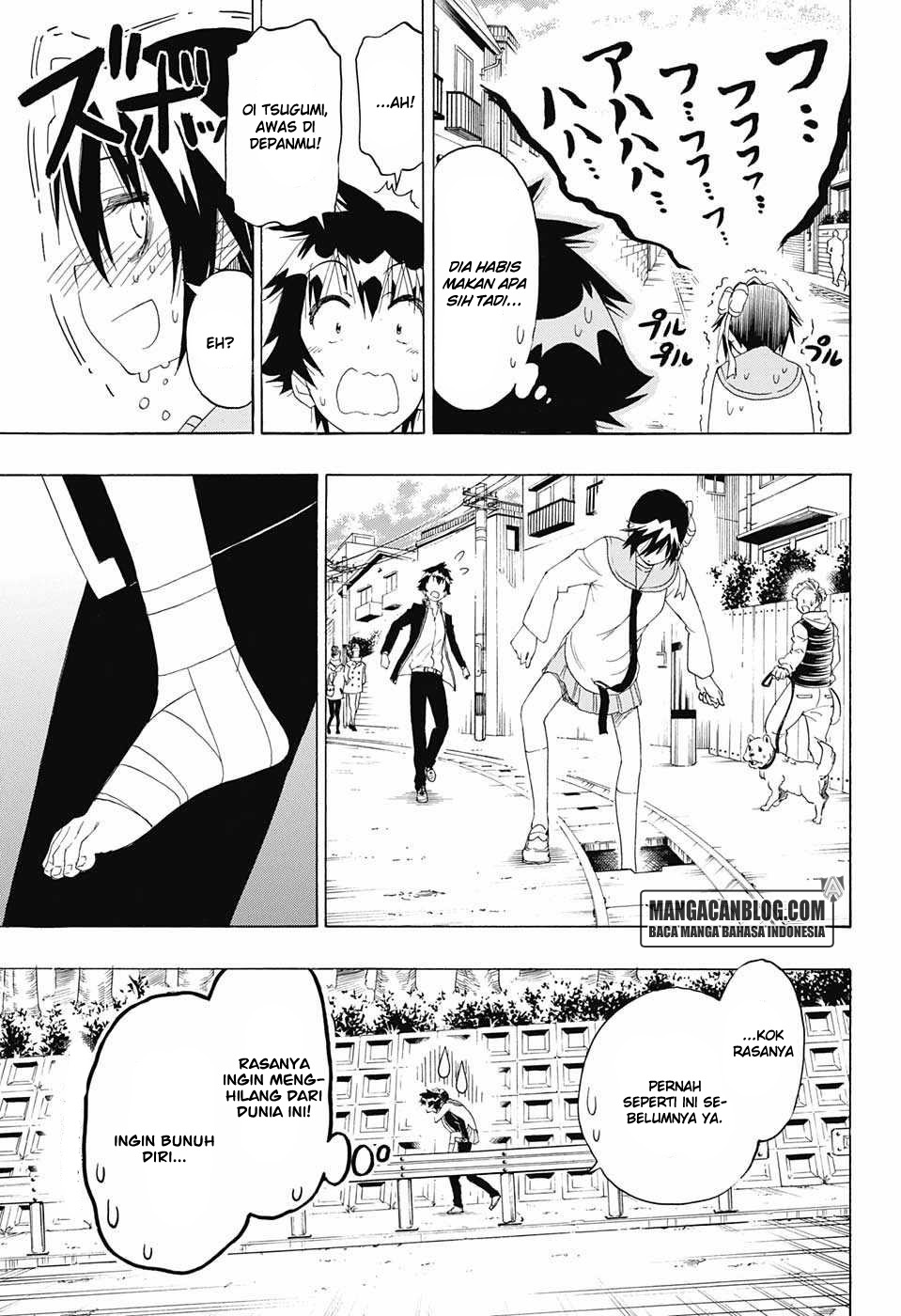 Nisekoi Chapter 205 Gambar 11